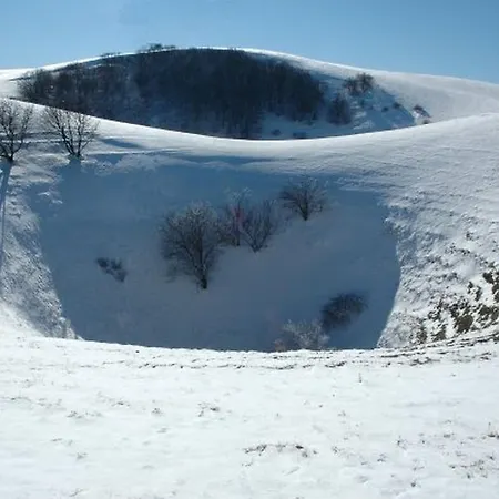 Guest Clarice Aff Casa Zia Cianetta Civ 48