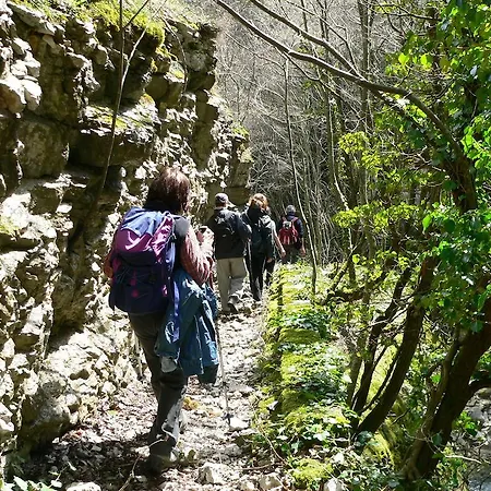 Guest Clarice Aff Casa Zia Cianetta Civ 48 Πανσιόν 3*