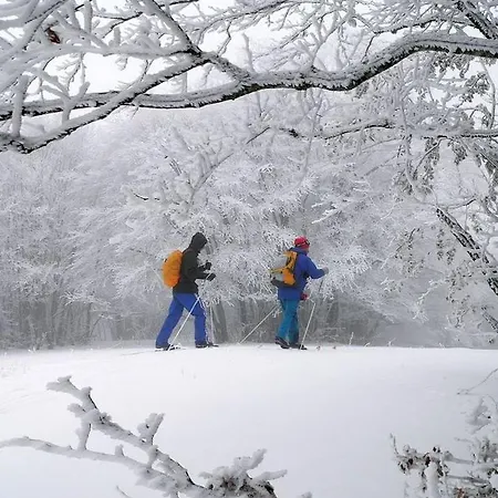 Guest Clarice Aff Casa Zia Cianetta Civ 48 Πανσιόν 3*